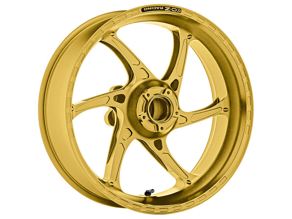OZ Racing GASS RS-A FORGED ALUMINUM REAR WHEEL: SUZUKI HAYABUSA (2014+) ABS
