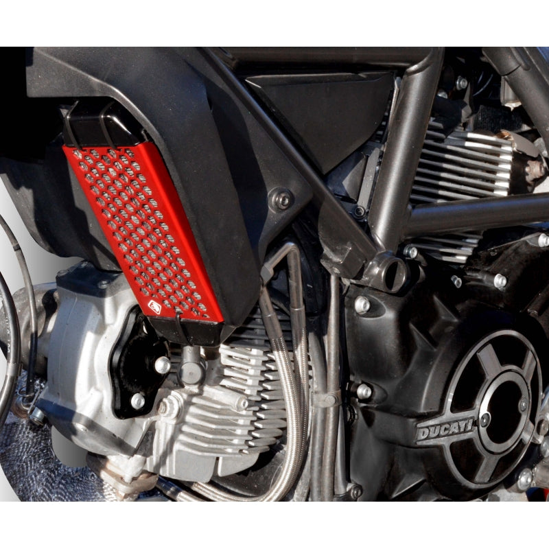 DBK Special Parts (Ducabike) Aluminum Oil Cooler Guard for the Ducati Scrambler 400 / 800 (15-22)