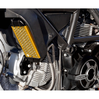 DBK Special Parts (Ducabike) Aluminum Oil Cooler Guard for the Ducati Scrambler 400 / 800 (15-22)