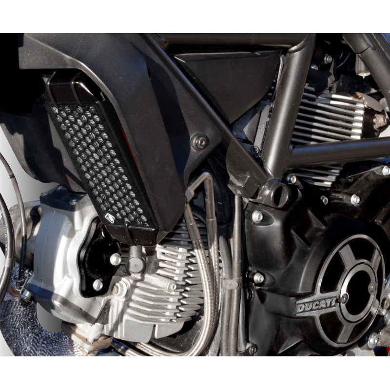 DBK Special Parts (Ducabike) Aluminum Oil Cooler Guard for the Ducati Scrambler 400 / 800 (15-22)