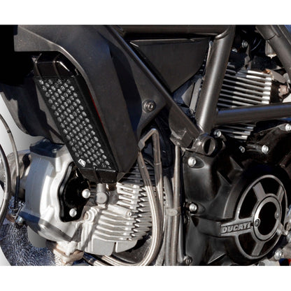 DBK Special Parts (Ducabike) Aluminum Oil Cooler Guard for the Ducati Scrambler 400 / 800 (15-22)