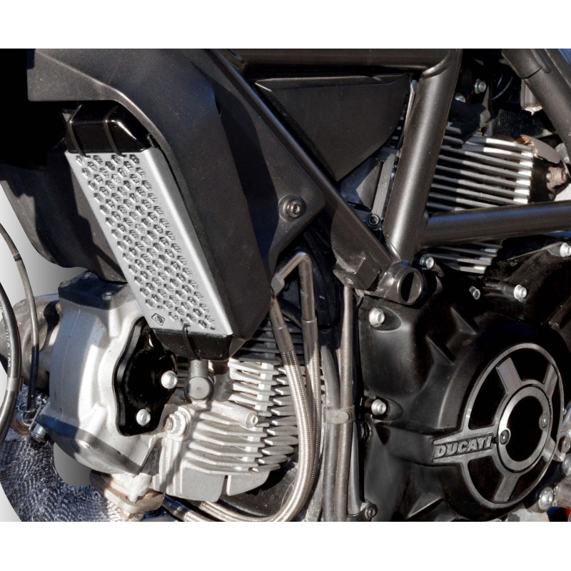 DBK Special Parts (Ducabike) Aluminum Oil Cooler Guard for the Ducati Scrambler 400 / 800 (15-22)
