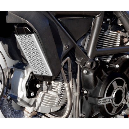 DBK Special Parts (Ducabike) Aluminum Oil Cooler Guard for the Ducati Scrambler 400 / 800 (15-22)