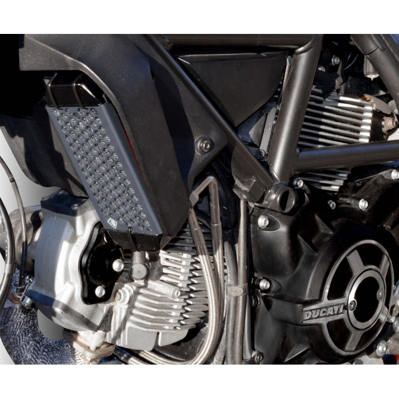 DBK Special Parts (Ducabike) Aluminum Oil Cooler Guard for the Ducati Scrambler 400 / 800 (15-22)