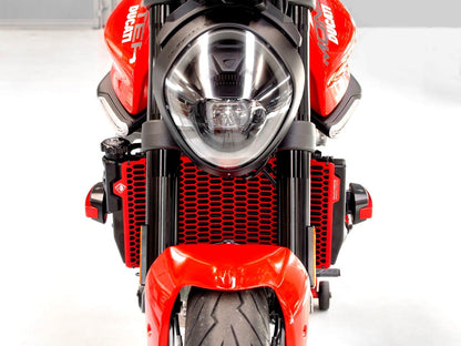 DBK Special Parts (Ducabike) Aluminum Radiator Guard for the Ducati Monster 937 / +