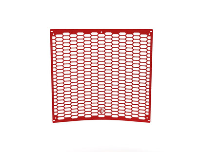 DBK Special Parts (Ducabike) Aluminum Radiator Guard for the Triumph Street Triple 765 (2023+)