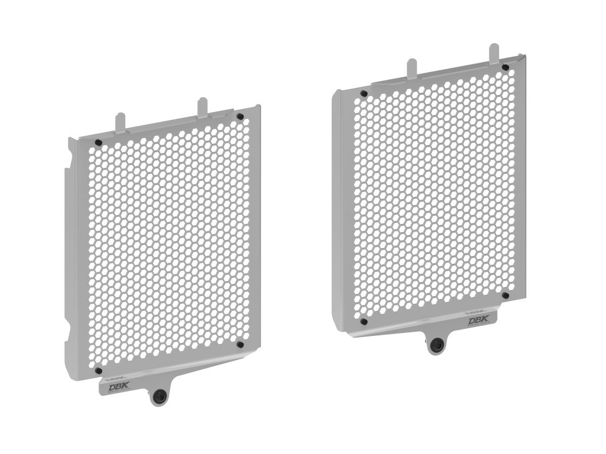 DBK Special Parts (Ducabike) Aluminum Radiator Guard for the BMW R 1300 GS