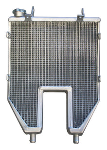 Galletto Radiatori (H2O Performance) Oversized Racing Radiator kit For Honda 125GP