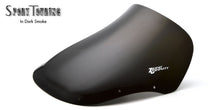 Zero Gravity Racing Windshields for the Triumph Sprint T-3 (1993-1998)