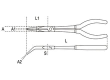 Beta Tools Model 1009  L/B-Curved Extra Long Nose Pliers