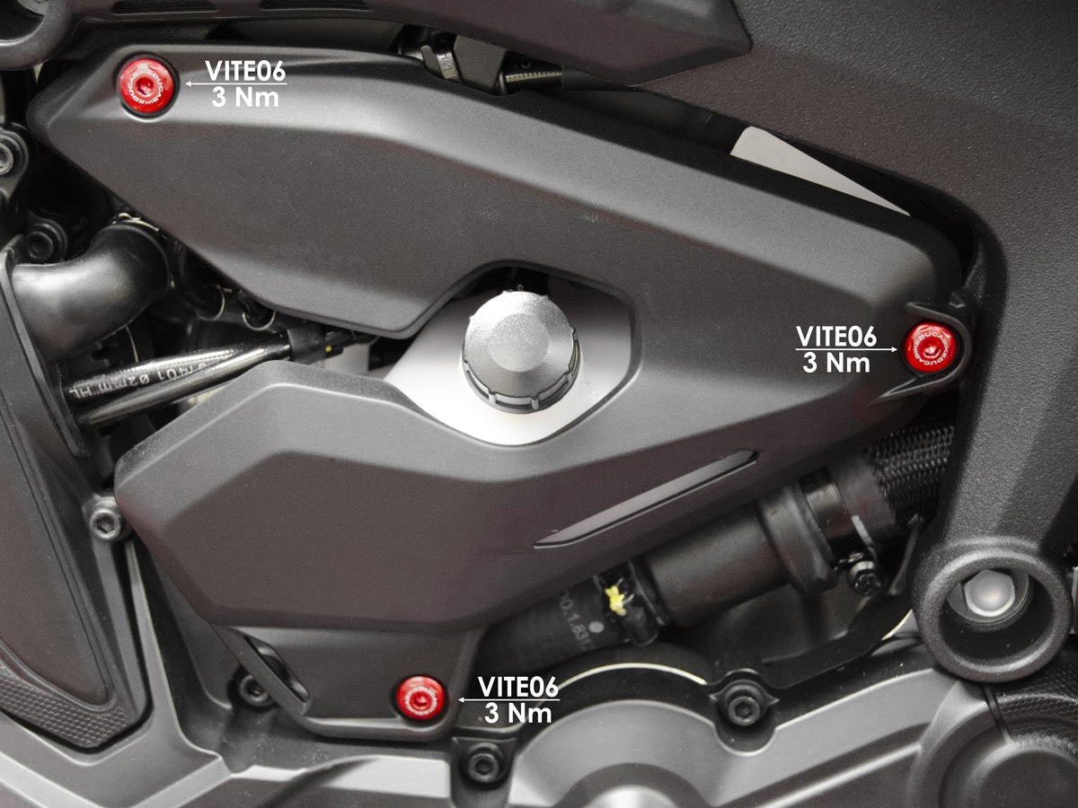 DBK Special Parts (Ducabike) Side Cover Bolt Kit for the Ducati Monster 937
