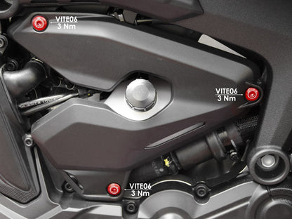 DBK Special Parts (Ducabike) Side Cover Bolt Kit for the Ducati Monster 937