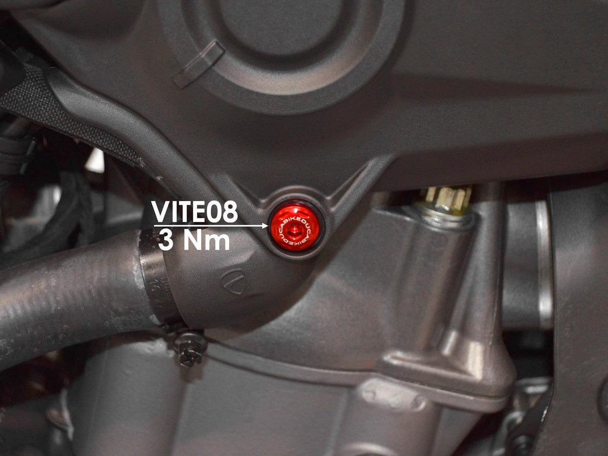 DBK Special Parts (Ducabike) Left Side Cover Screw Kit for the Ducati Monster 937