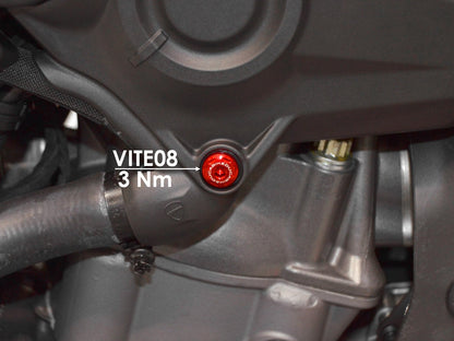 DBK Special Parts (Ducabike) Left Side Cover Screw Kit for the Ducati Monster 937