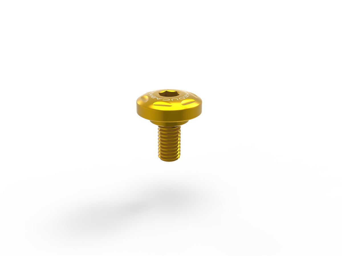 DBK Special Parts (Ducabike) Left Side Cover Screw Kit for the Ducati Monster 937
