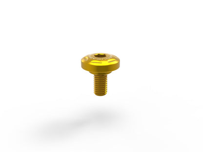 DBK Special Parts (Ducabike) Left Side Cover Screw Kit for the Ducati Monster 937