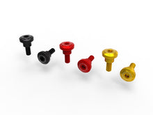 DBK Special Parts (Ducabike) Rear Tail Side Bolt Kit for the Ducati Monster 937