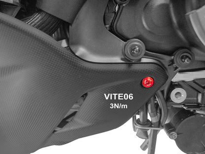 DBK Special Parts (Ducabike) Lower Radiator (Oil Cooler) Fairing Screw Kit for the Ducati Diavel V4