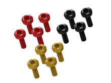 DBK Special Parts (Ducabike) OE Muffler Heat (Exhaust) Shield Screw Kit for the Ducati Hypermotard 698 Mono