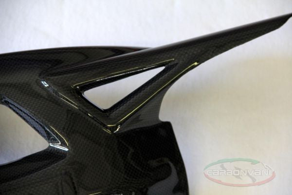 CARBONVANI - MV AGUSTA F4 CARBON FIBER SWINGARM COVER (>2009)
