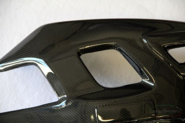 CARBONVANI - MV AGUSTA F4 CARBON FIBER SWINGARM COVER (>2009)