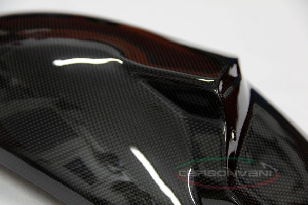 CARBONVANI - MV AGUSTA BRUTALE CARBON FIBER REAR MUDGUARD (2006-09)