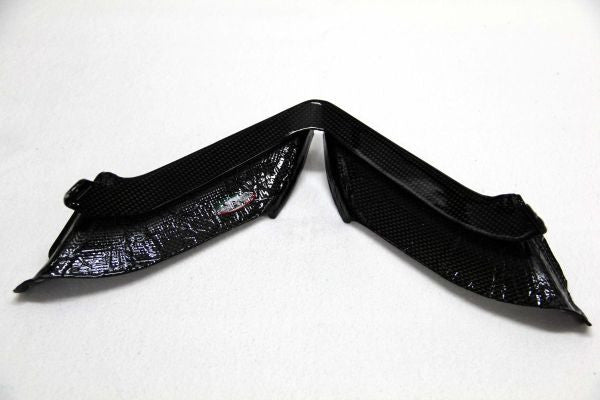 CARBONVANI - MV AGUSTA F4 CARBON FIBER HEADLIGHT SPOILER (2010+)