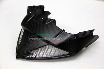 CARBONVANI - MV AGUSTA RIVALE CARBON FIBER LOWER LAMP MASK