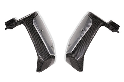 QD Carbon Fiber Radiator Guards (with Alutech Carbon) for the Indian FTR 1200 (Flat Track Racer)