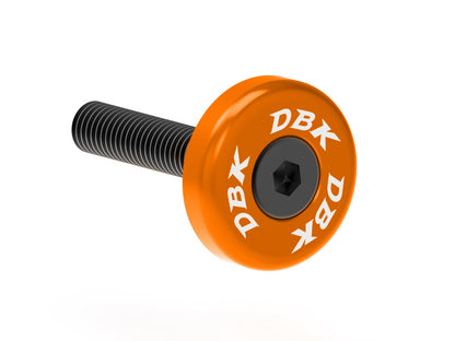 DBK Special Parts (Ducabike) Muffler Support Screw and Washer for KTM 990 / 890 / 790 Duke