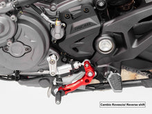 DBK Special Parts (Ducabike) Billet Shift lever (GP and Standard Shift) for the Ducati Monster 937