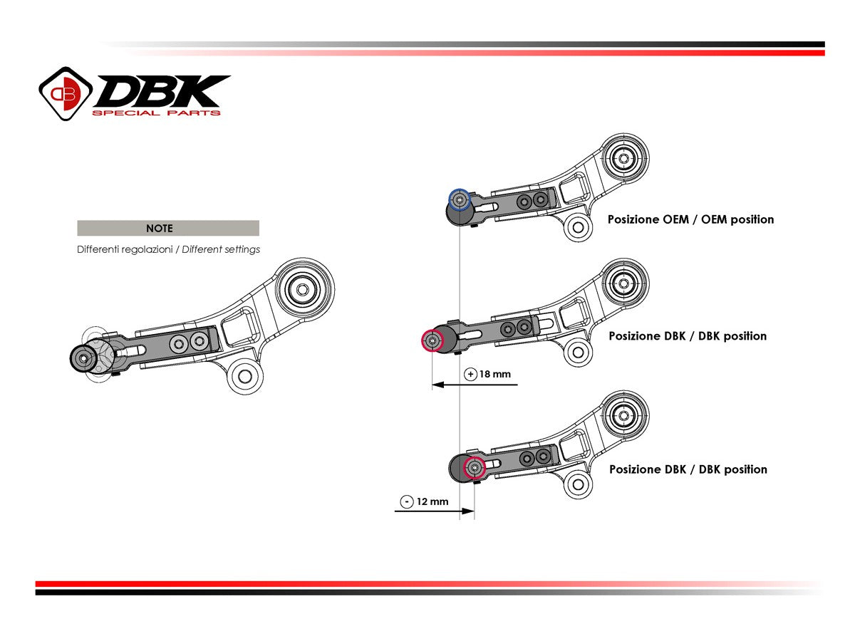 DBK Special Parts (Ducabike) Adjustable Shift Lever for the BMW R 1300 GS