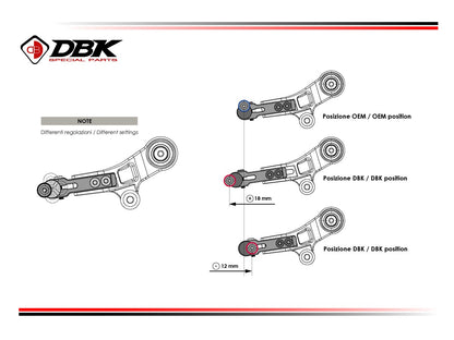 DBK Special Parts (Ducabike) Adjustable Shift Lever for the BMW R 1300 GS