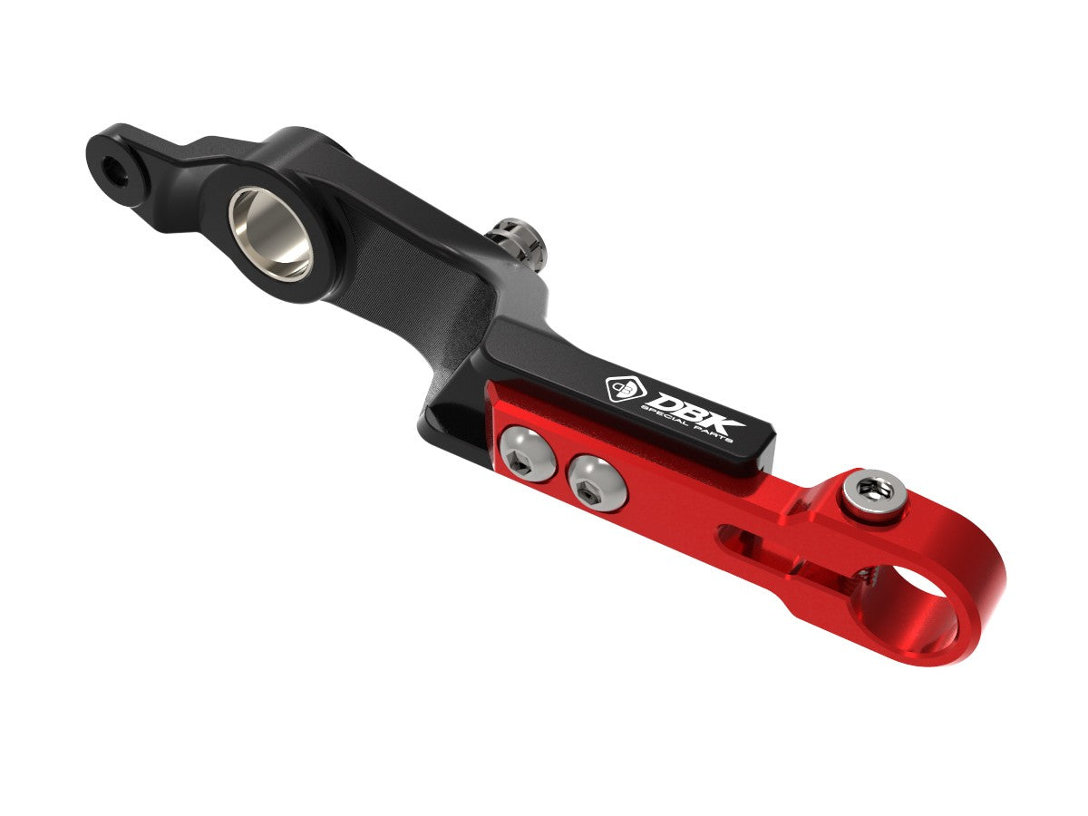 DBK Special Parts (Ducabike) Adjustable Rear Brake Lever for the BMW R 1300 GS