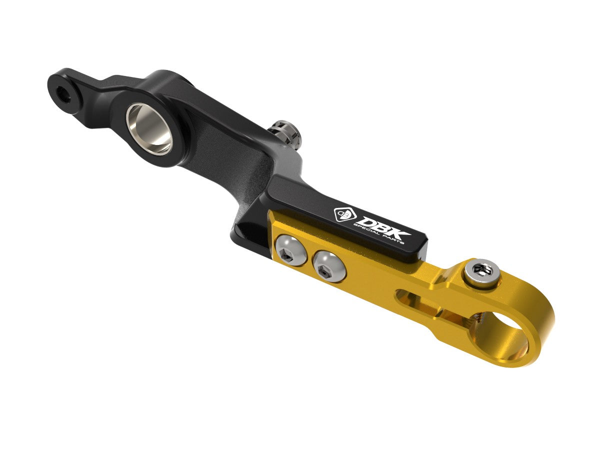 DBK Special Parts (Ducabike) Adjustable Rear Brake Lever for the BMW R 1300 GS