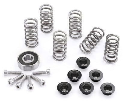 EVR Dry Clutch Stainless Steel Hardware kit (Retainers  Springs  Screws  and Throw-out Bearing)