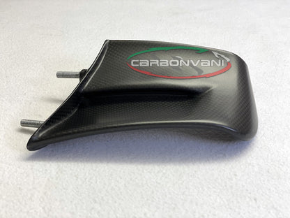 Carbonvani - Ducati Panigale V4 / S / R / SP Carbon Fiber Winglets (22-24)